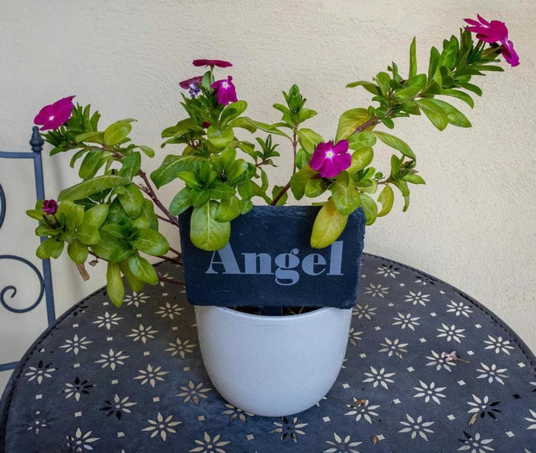Angel @ Aragon Court Marsaskala Exterior foto